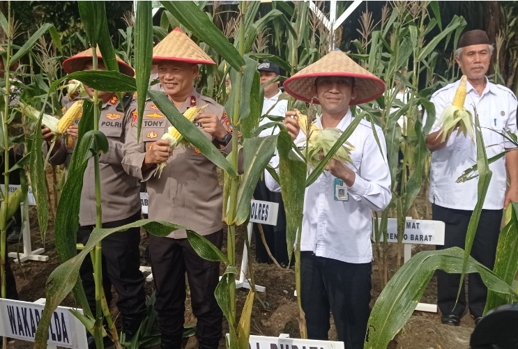 Bulan Puasa Kian Menghitung Hari, Kecukupan Pangan Masyarakat Harus Dipastikan