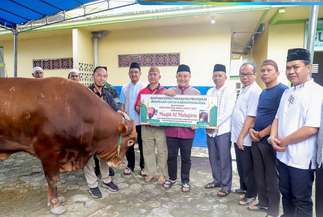 Masjid Al Muhajirin Air Ruai Terima Bantuan Sapi Qurban Presiden