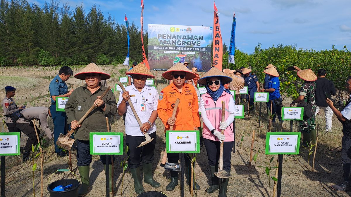 Pelestarian Habitat Mangrove Berikan Keuntungan Ekonomi dan Lingkungan